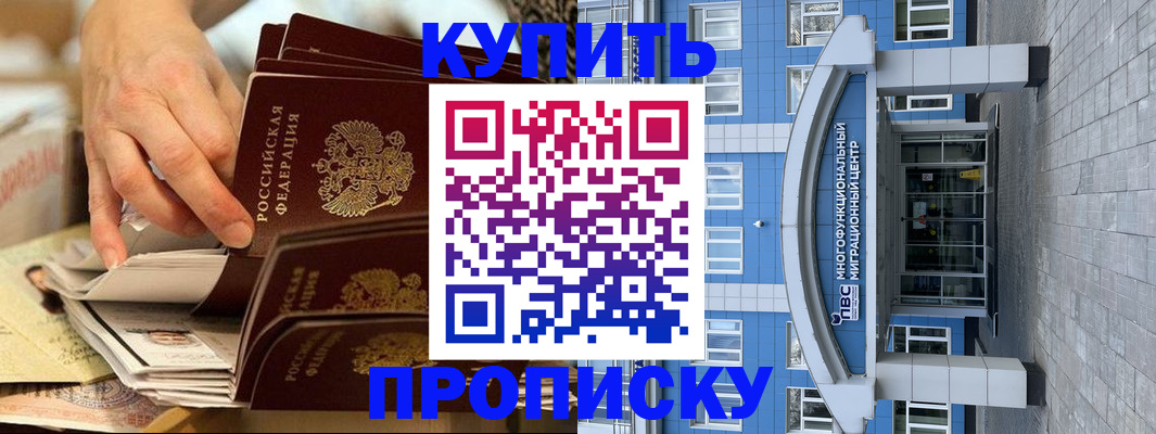 прописка гарантия в Курске